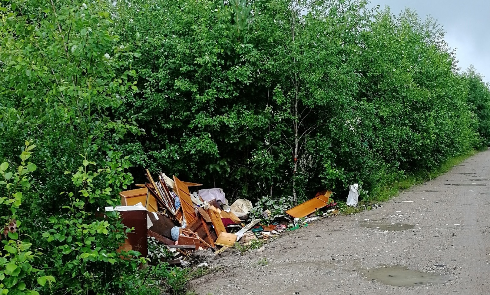 Стихийная свалка ТКО обнаружена под Вожегой